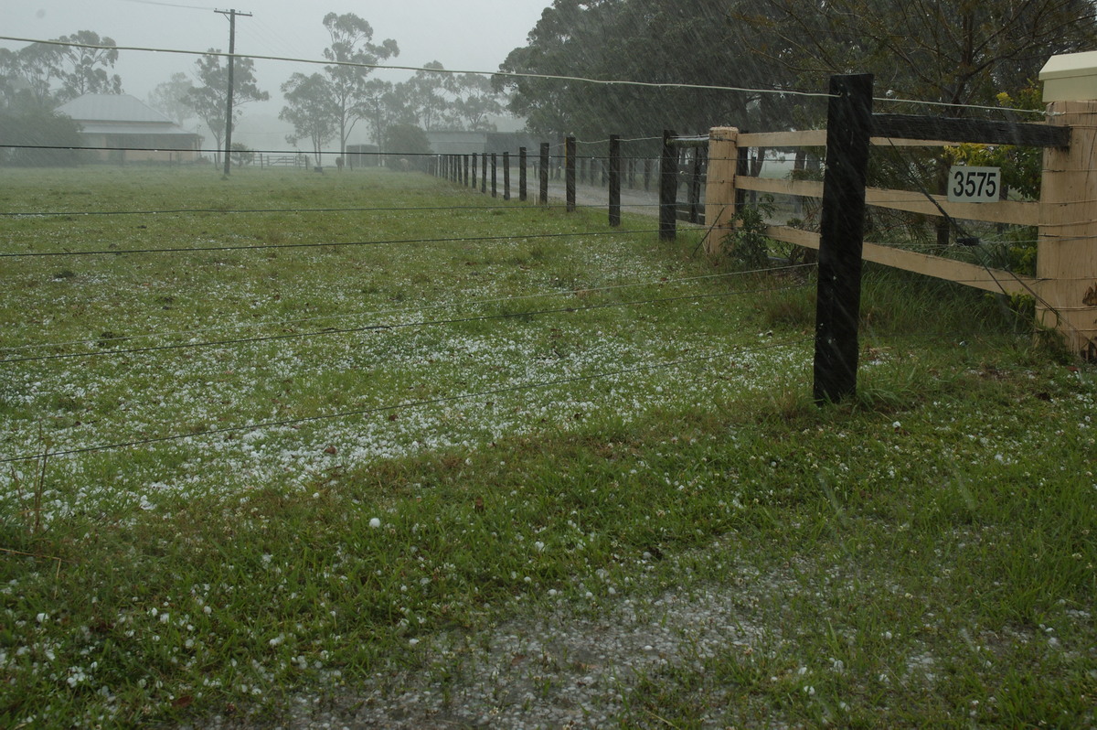 hailstones hail_stones : Tatham, NSW   26 October 2007