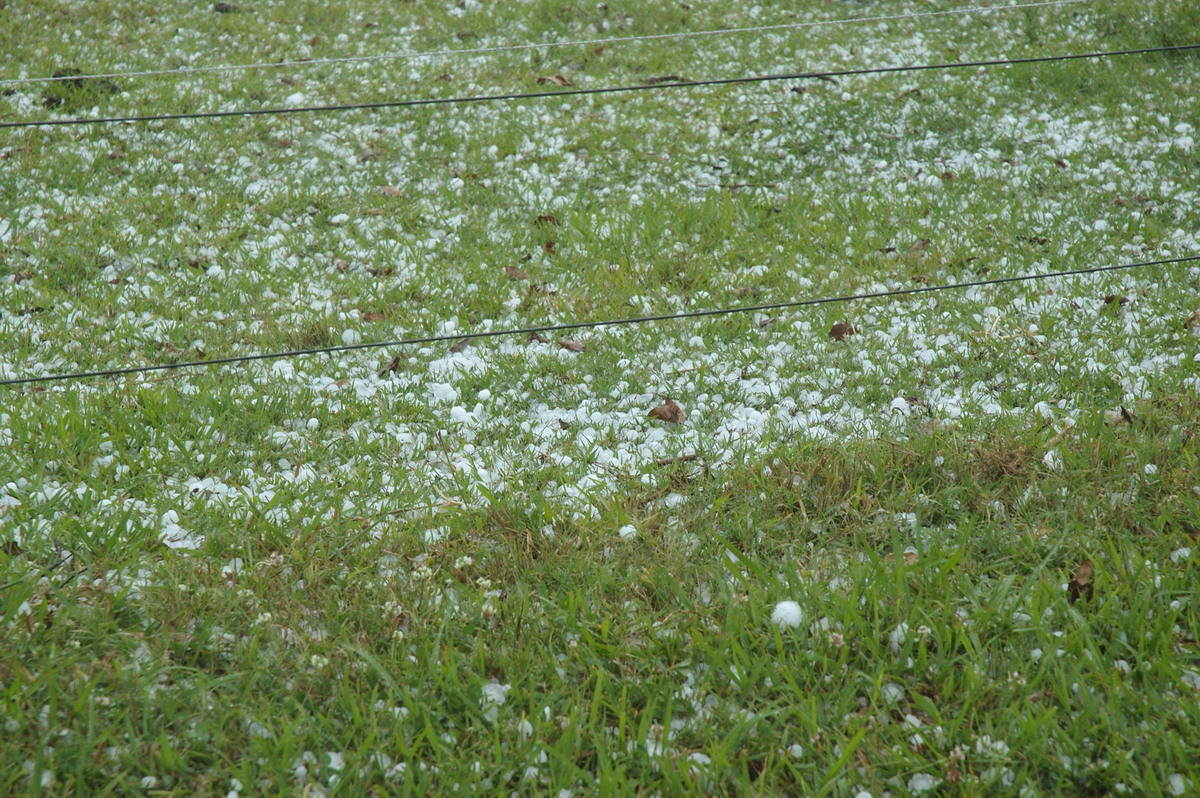 precipitation precipitation_rain : Tatham, NSW   26 October 2007