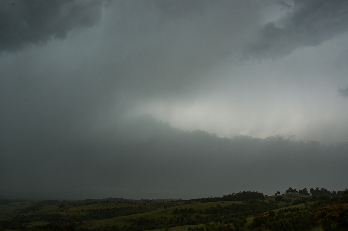 stratus stratus_cloud : McLeans Ridges, NSW   26 October 2007