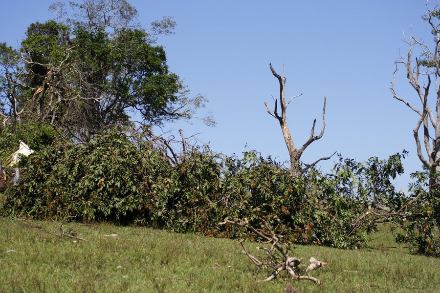 disasters storm_damage : Dunoon, NSW   27 October 2007