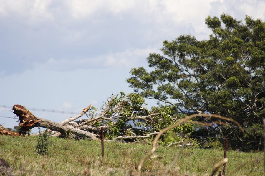 disasters storm_damage : Dunoon, NSW   27 October 2007