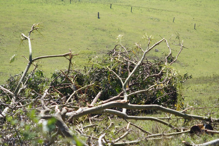 disasters storm_damage : Dunoon, NSW   27 October 2007