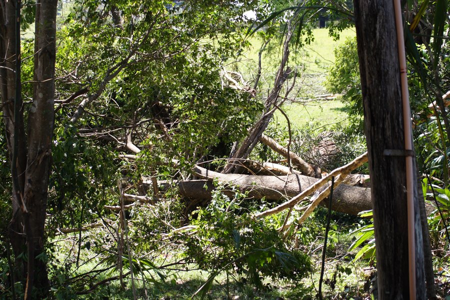 disasters storm_damage : Dunoon, NSW   27 October 2007