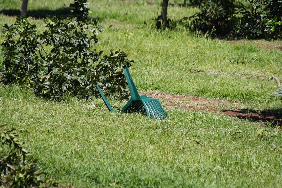 disasters storm_damage : Dunoon, NSW   27 October 2007