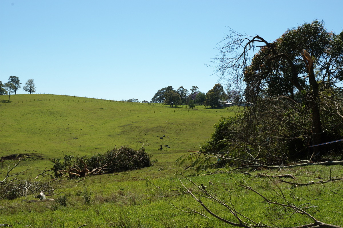 disasters storm_damage : Dunoon Tornado, NSW   27 October 2007