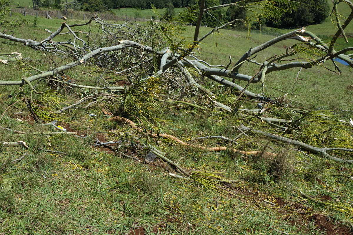 disasters storm_damage : Dunoon Tornado, NSW   27 October 2007