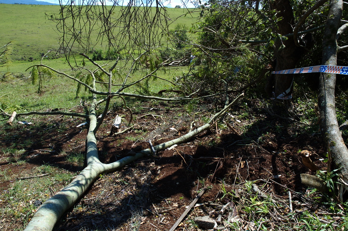 disasters storm_damage : Dunoon Tornado, NSW   27 October 2007