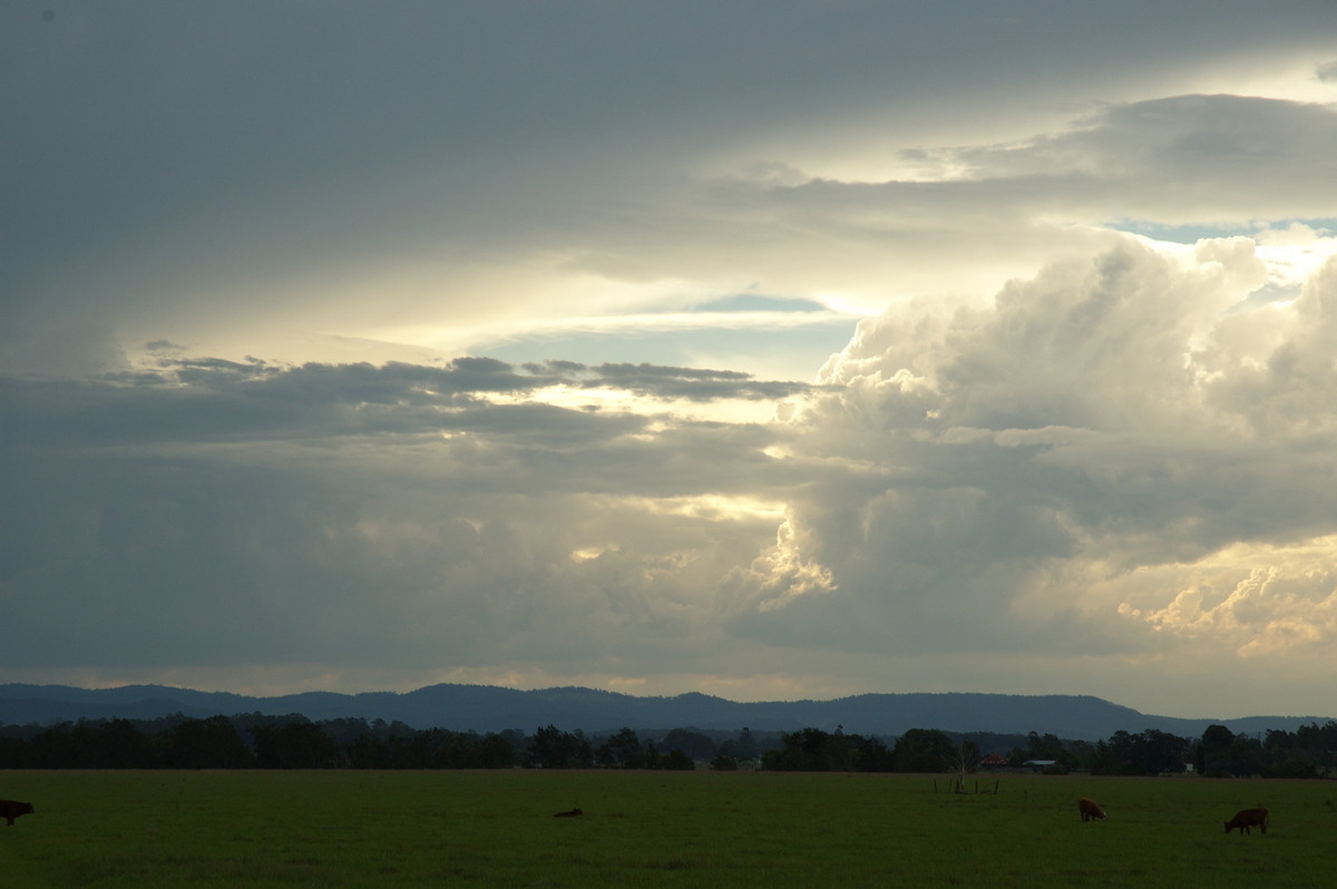 cumulus congestus : N of Casino, NSW   28 October 2007