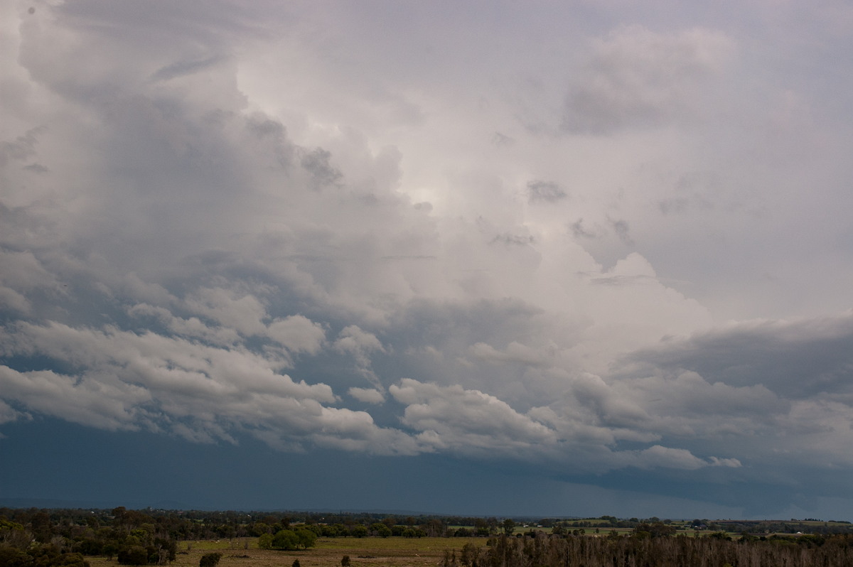 cumulonimbus thunderstorm_base : Wyrallah, NSW   29 October 2007