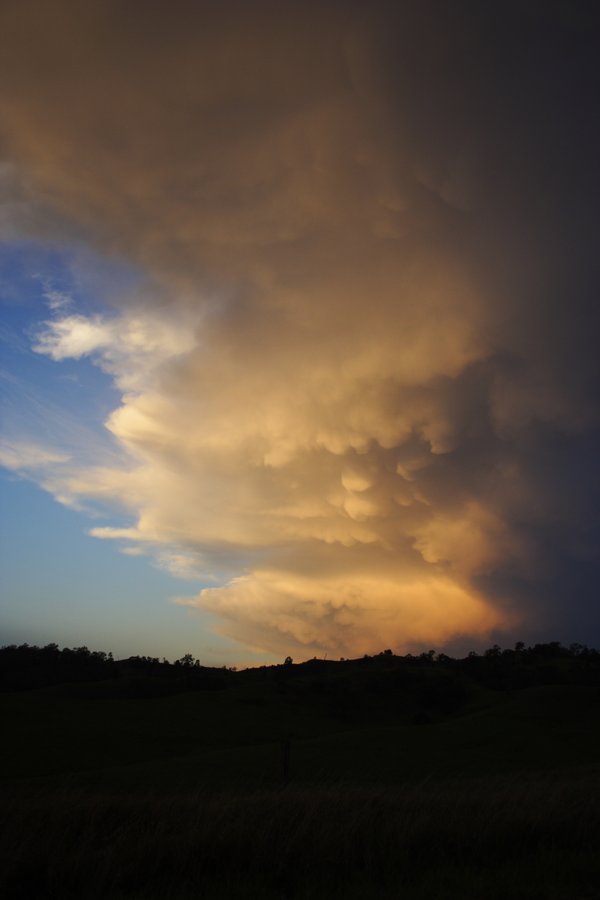 sunset sunset_pictures : near Kyogle, NSW   30 October 2007