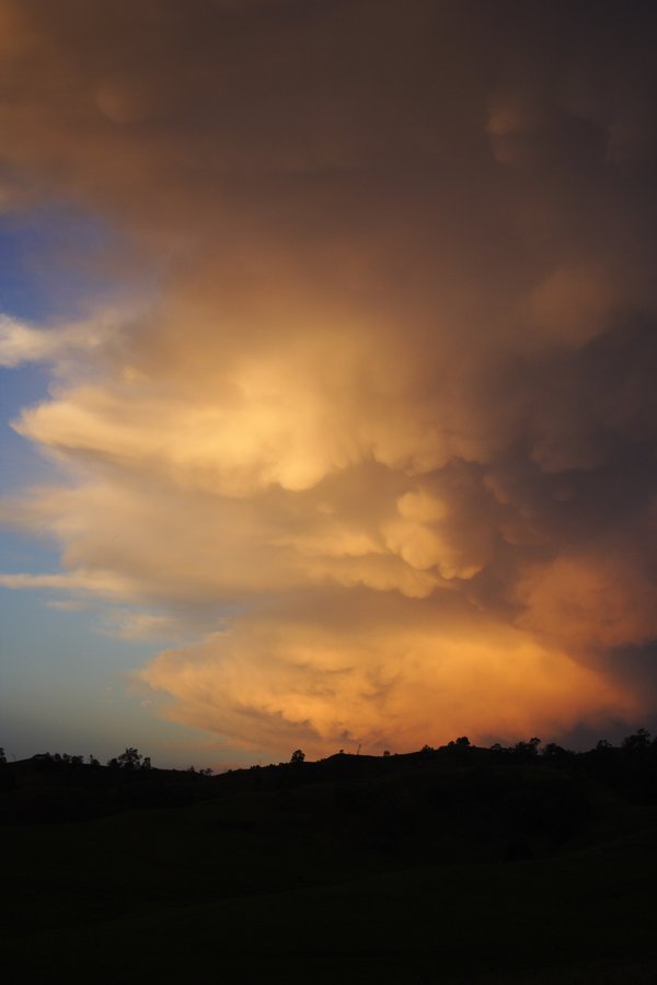 anvil thunderstorm_anvils : near Kyogle, NSW   30 October 2007