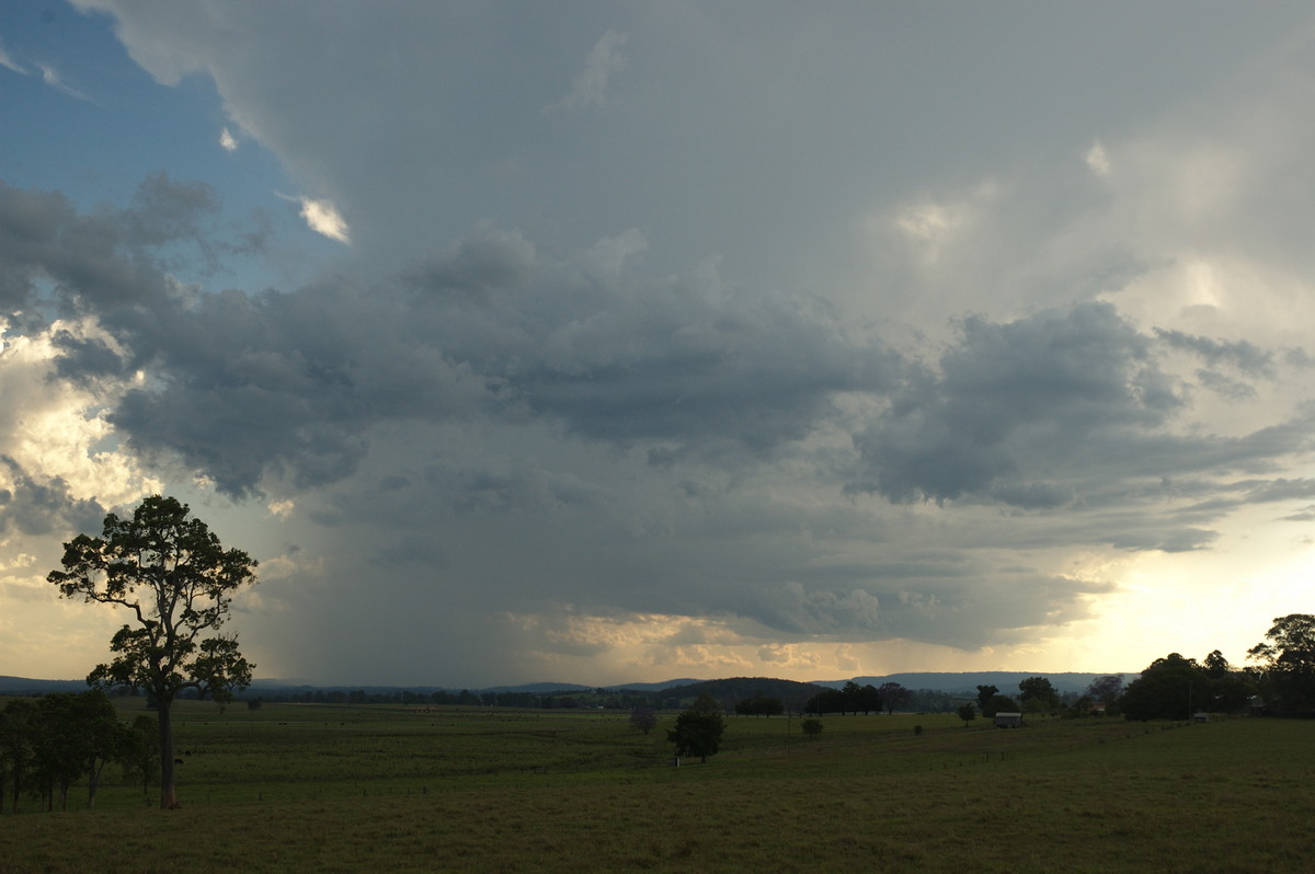 cumulonimbus thunderstorm_base : near Kyogle, NSW   30 October 2007