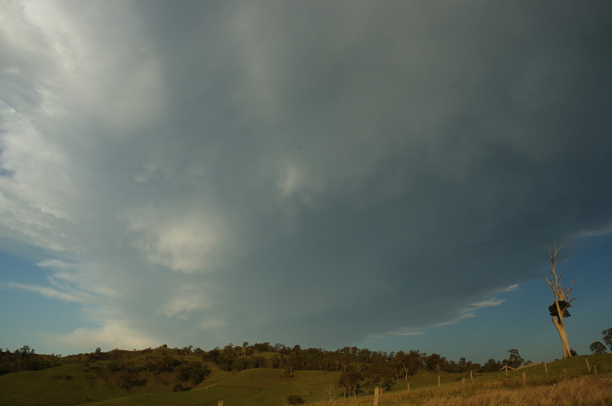 anvil thunderstorm_anvils : W of Kyogle, NSW   30 October 2007