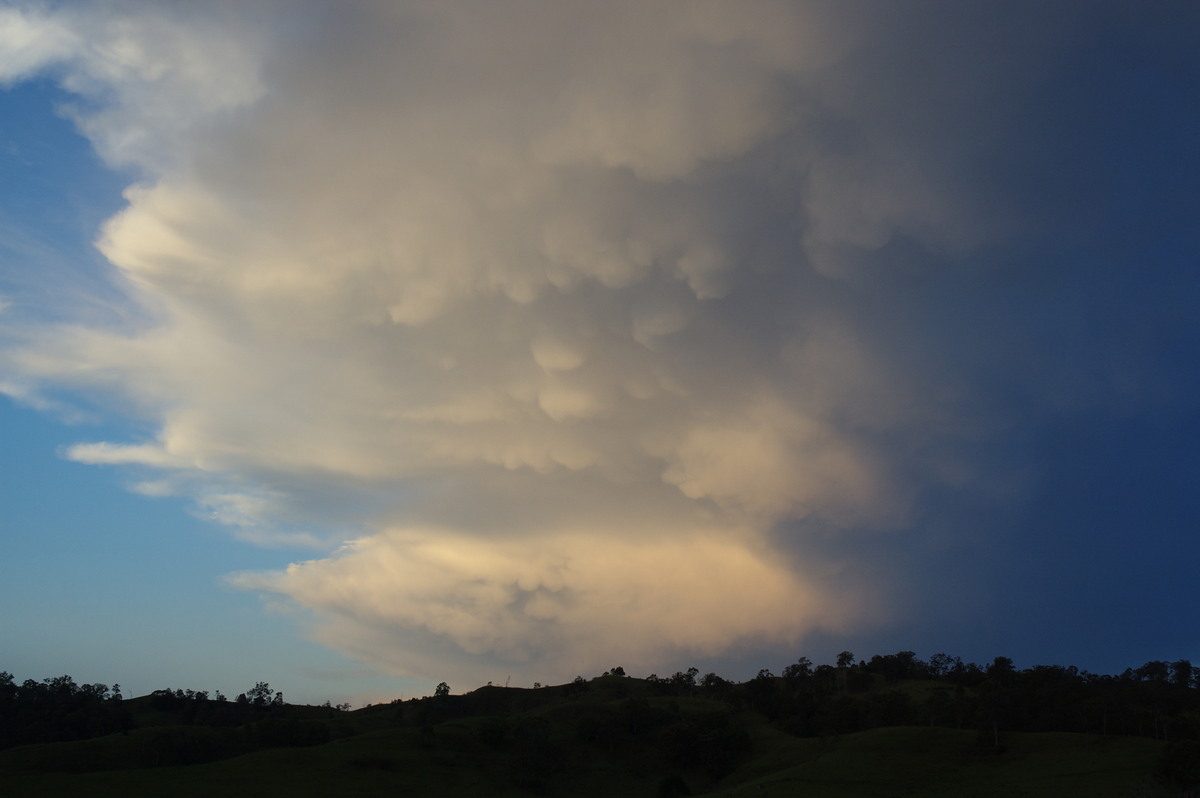 anvil thunderstorm_anvils : W of Kyogle, NSW   30 October 2007