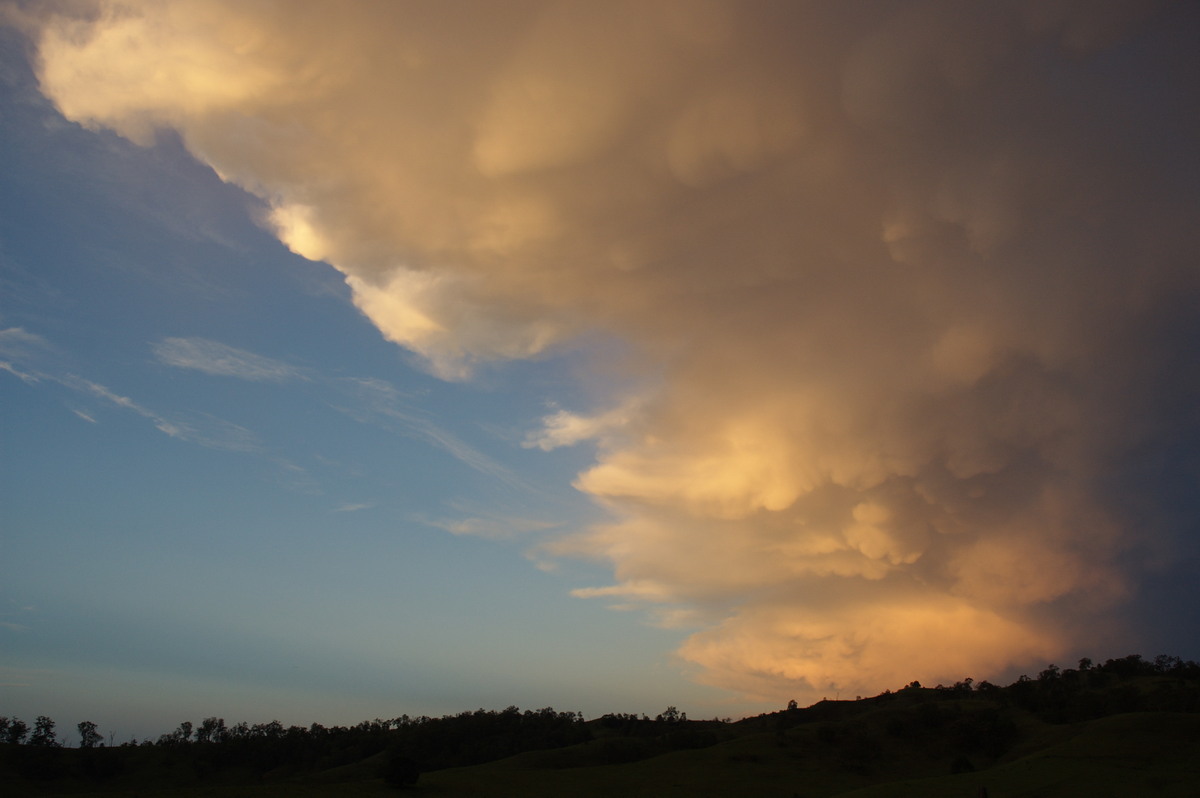 mammatus mammatus_cloud : W of Kyogle, NSW   30 October 2007