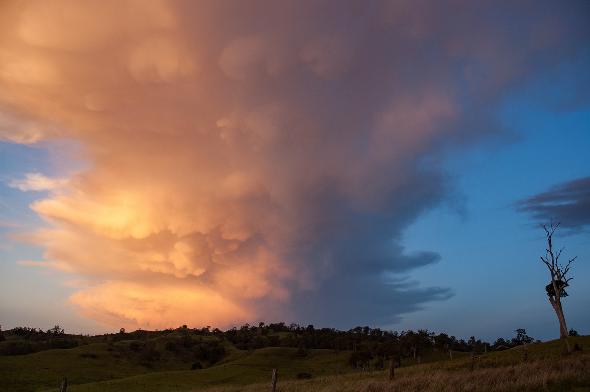 favourites michael_bath : near Kyogle, NSW   30 October 2007