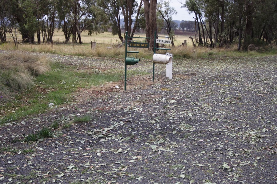 disasters storm_damage : near Inverell, NSW   31 October 2007