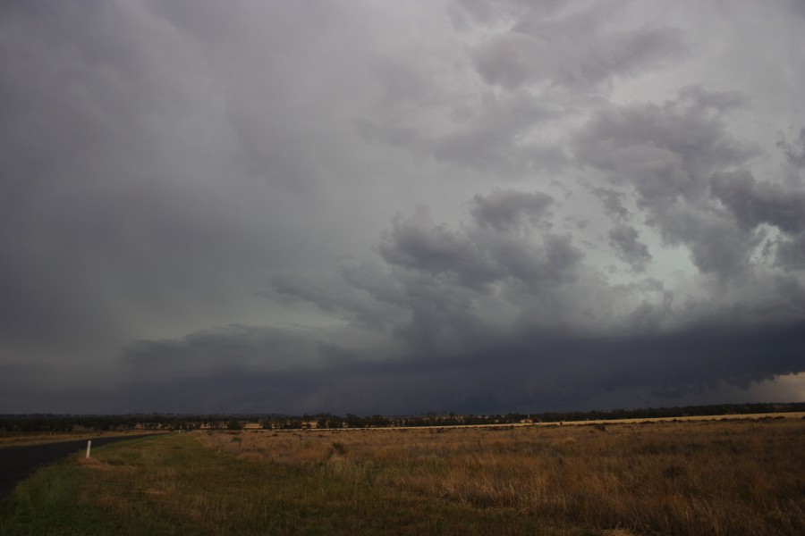 cumulonimbus thunderstorm_base : near North Star, NSW   31 October 2007