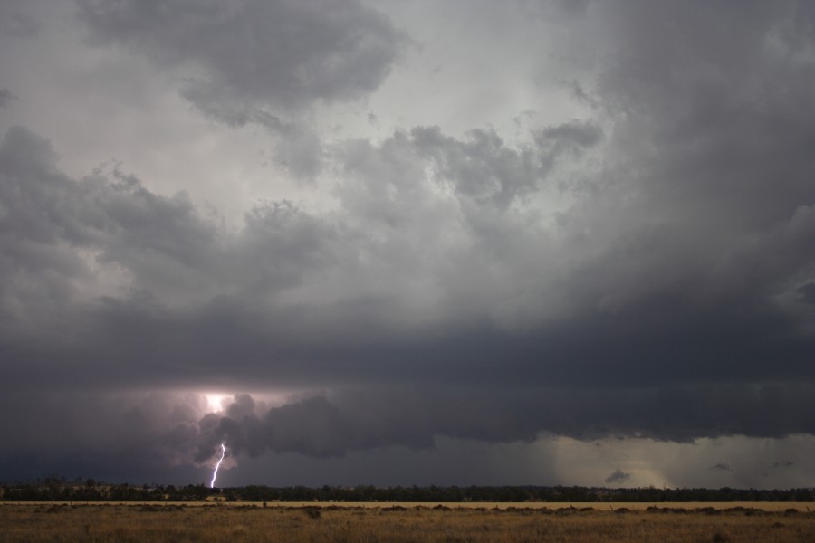 cumulonimbus thunderstorm_base : near North Star, NSW   31 October 2007