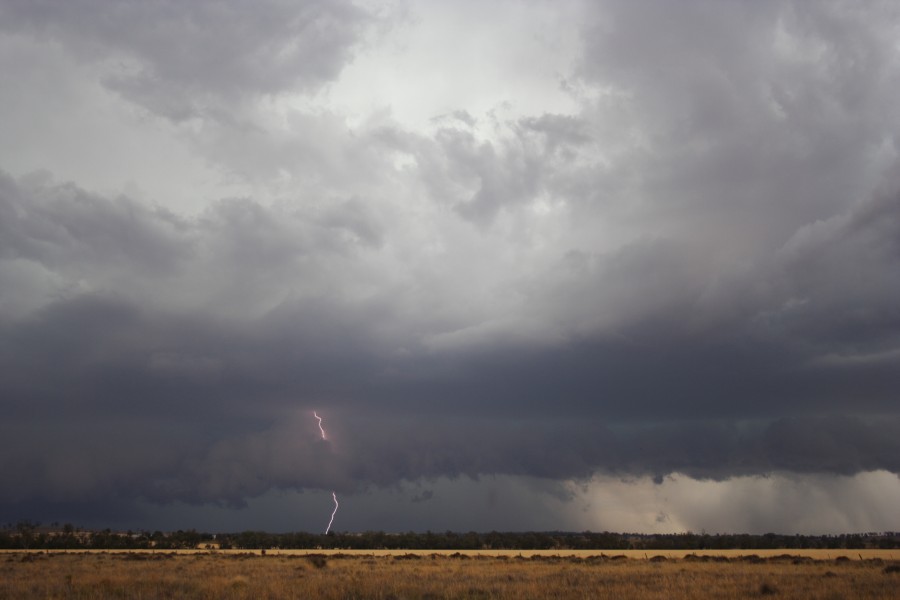 cumulonimbus thunderstorm_base : near North Star, NSW   31 October 2007