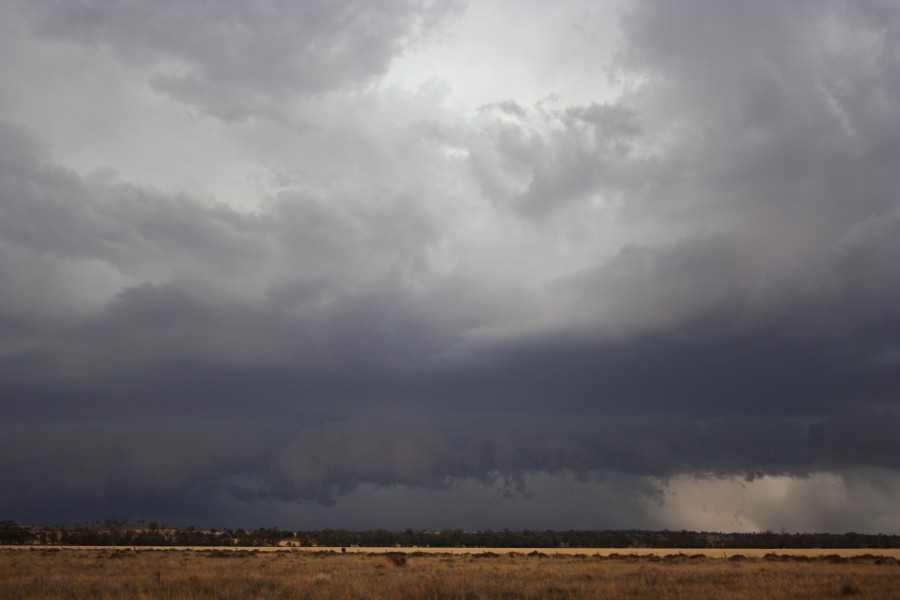 cumulonimbus thunderstorm_base : near North Star, NSW   31 October 2007