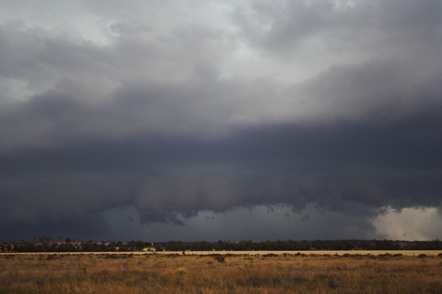 cumulonimbus thunderstorm_base : near North Star, NSW   31 October 2007