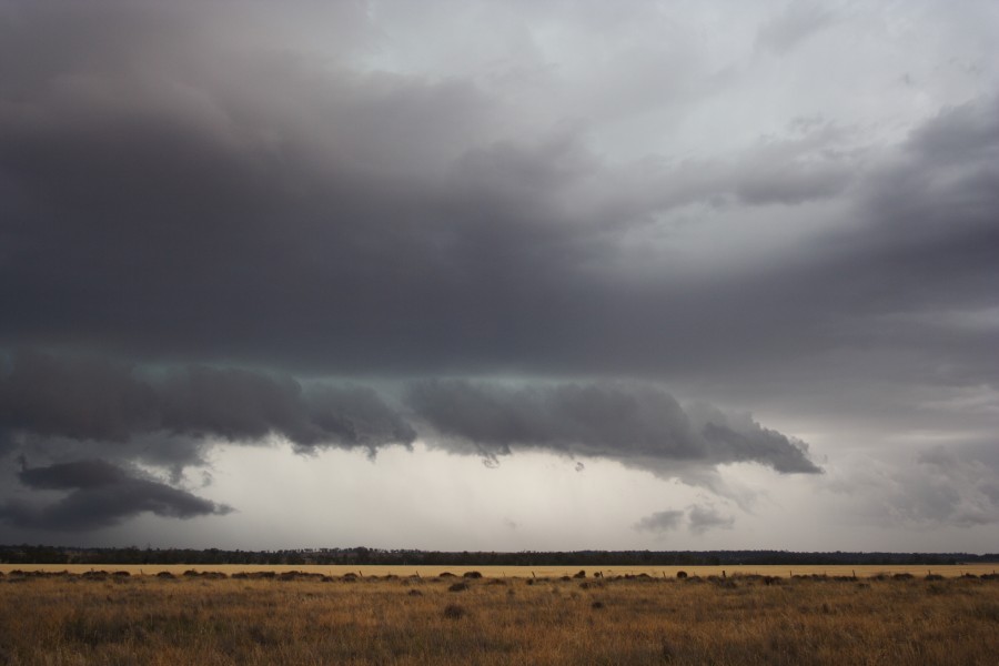 shelfcloud shelf_cloud : near North Star, NSW   31 October 2007