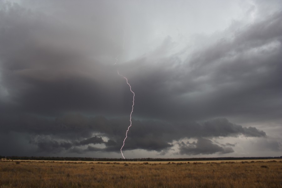 cumulonimbus thunderstorm_base : near North Star, NSW   31 October 2007