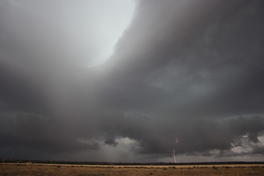 cumulonimbus thunderstorm_base : near North Star, NSW   31 October 2007