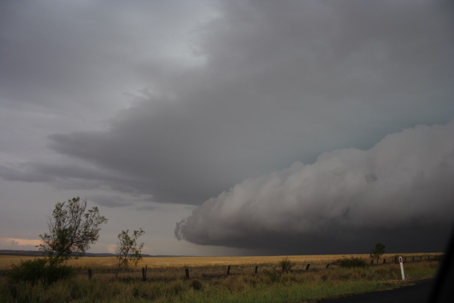 shelfcloud shelf_cloud : near North Star, NSW   31 October 2007