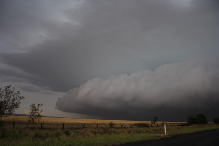 cumulonimbus thunderstorm_base : near North Star, NSW   31 October 2007