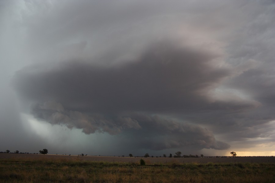 cumulonimbus supercell_thunderstorm : near North Star, NSW   31 October 2007