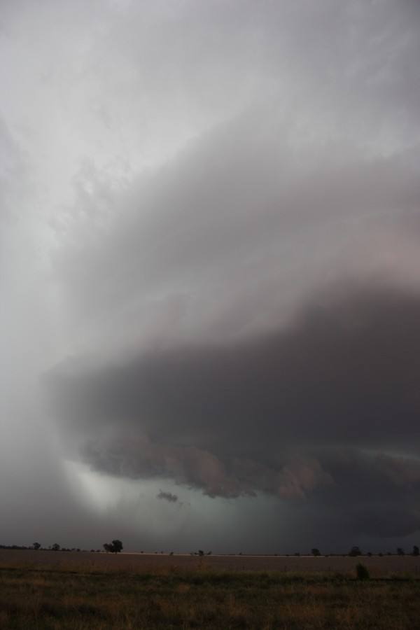 cumulonimbus supercell_thunderstorm : near North Star, NSW   31 October 2007