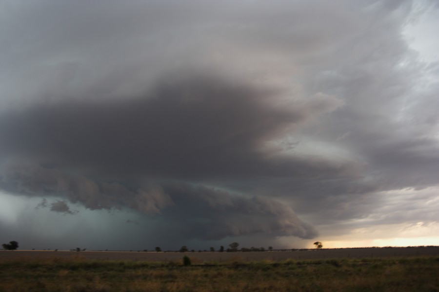 cumulonimbus supercell_thunderstorm : near North Star, NSW   31 October 2007