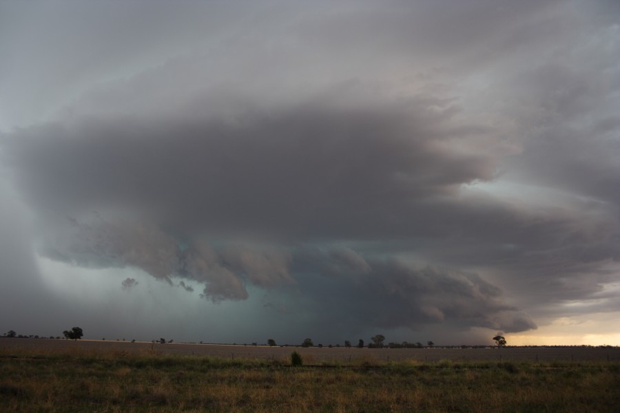 cumulonimbus thunderstorm_base : near North Star, NSW   31 October 2007