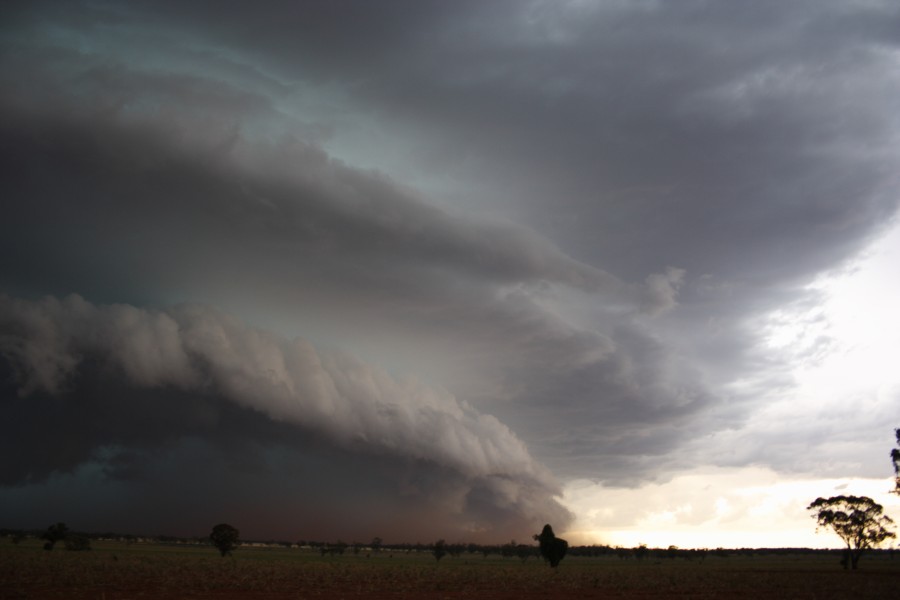 cumulonimbus thunderstorm_base : near North Star, NSW   31 October 2007