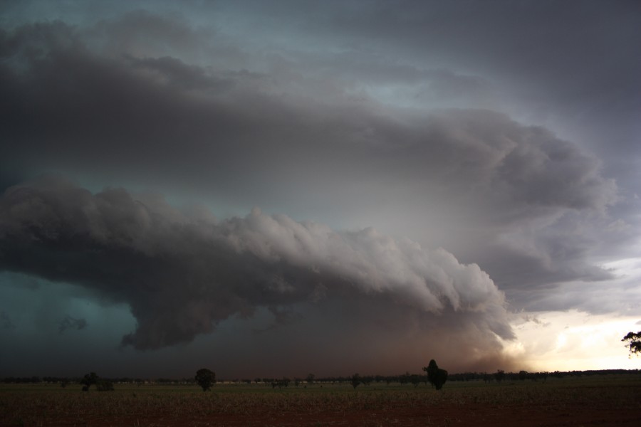 cumulonimbus thunderstorm_base : near North Star, NSW   31 October 2007