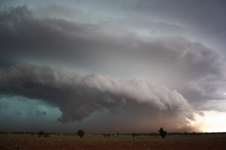 cumulonimbus thunderstorm_base : near North Star, NSW   31 October 2007