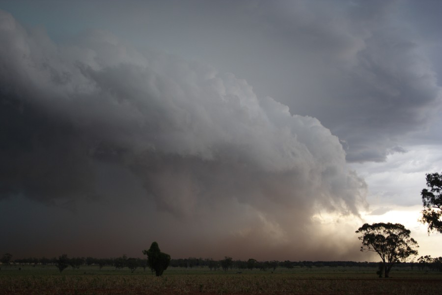 cumulonimbus thunderstorm_base : near North Star, NSW   31 October 2007