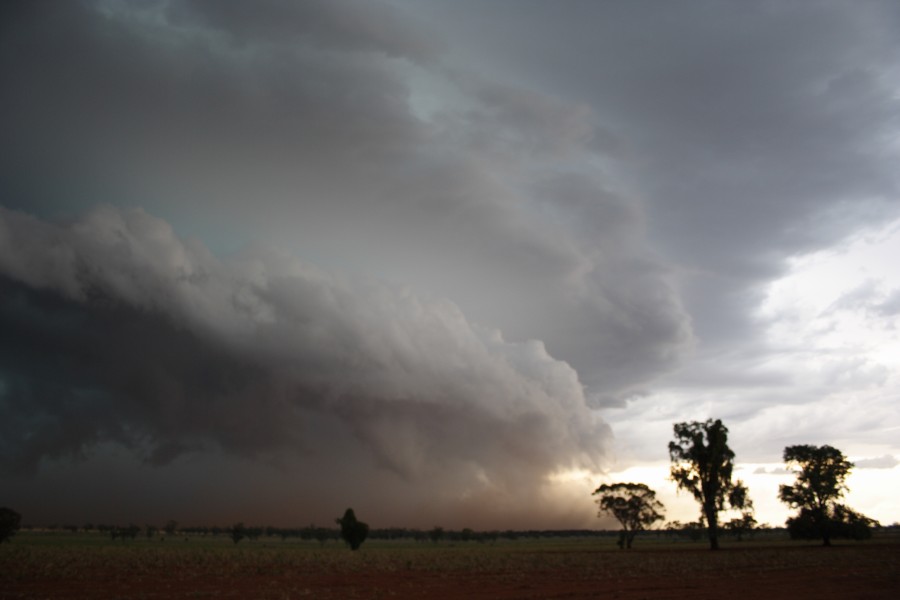 cumulonimbus thunderstorm_base : near North Star, NSW   31 October 2007