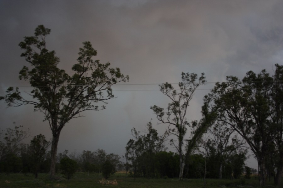 cumulonimbus thunderstorm_base : near North Star, NSW   31 October 2007