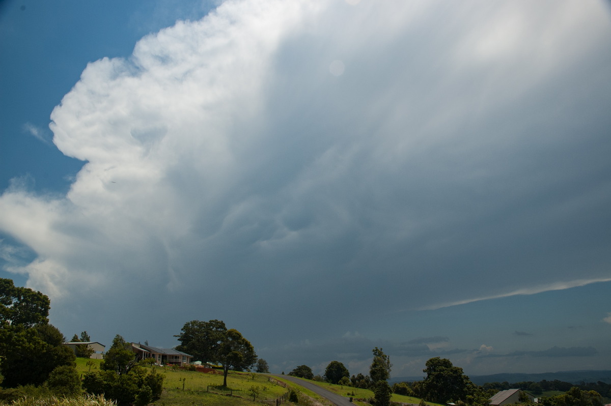 anvil thunderstorm_anvils : McLeans Ridges, NSW   31 October 2007