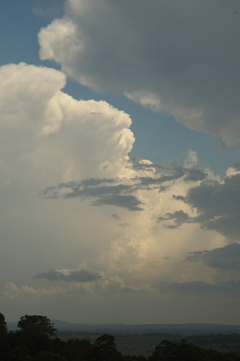 thunderstorm cumulonimbus_incus : Tregeagle, NSW   31 October 2007