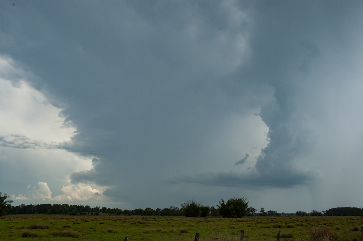 updraft thunderstorm_updrafts : Ruthven, NSW   31 October 2007