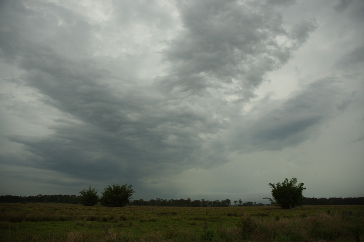 cumulonimbus thunderstorm_base : near Coraki, NSW   31 October 2007