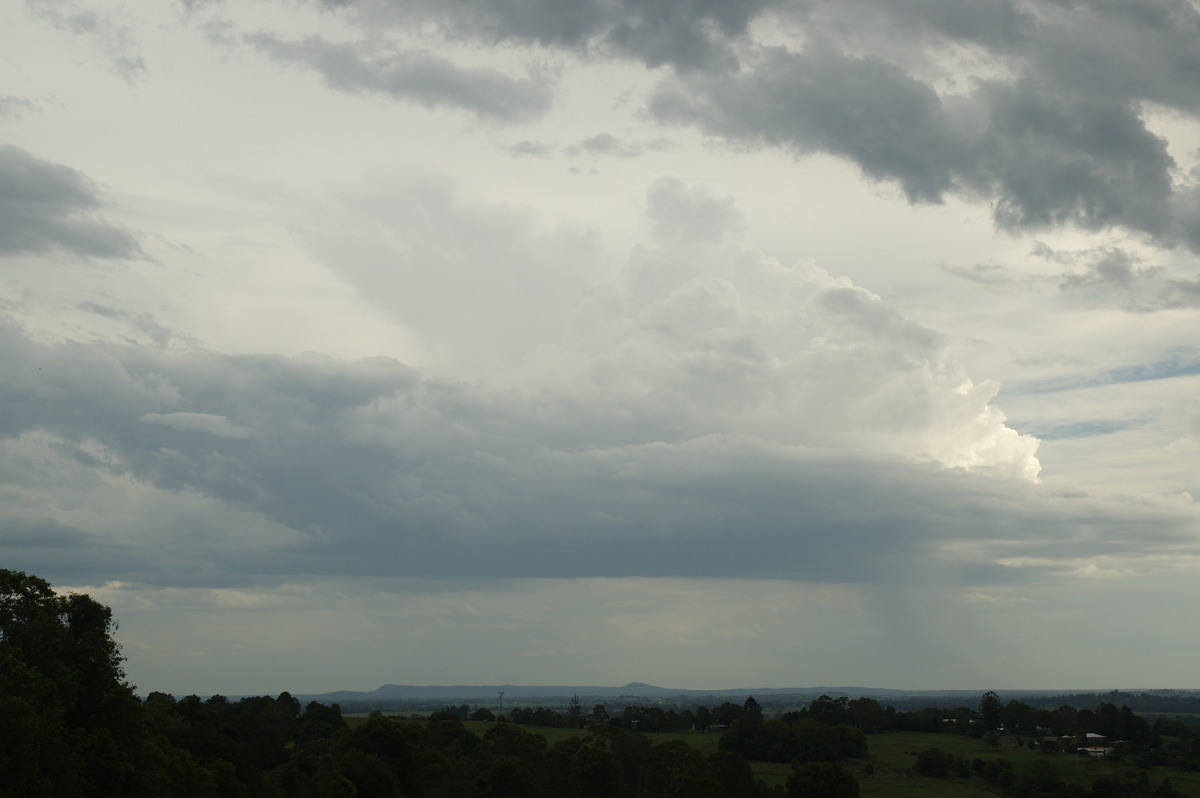 thunderstorm cumulonimbus_calvus : Wyrallah, NSW   4 November 2007