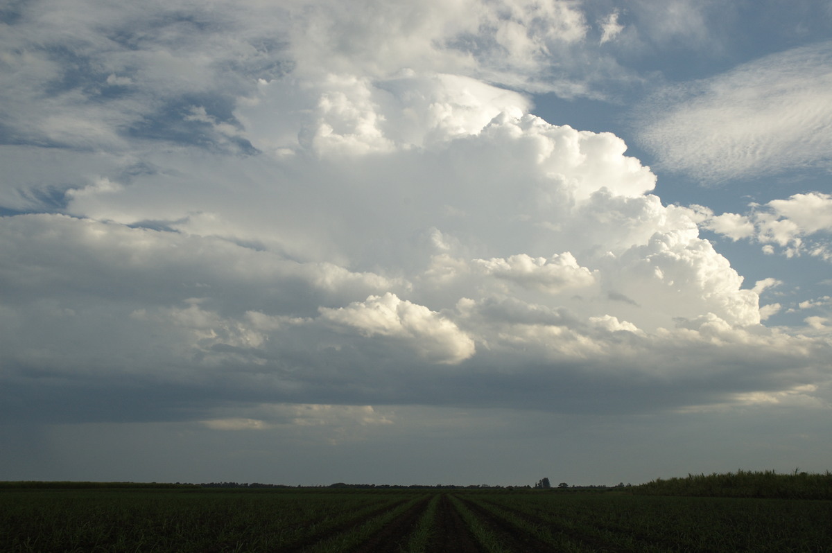 thunderstorm cumulonimbus_calvus : near Wardell, NSW   4 November 2007