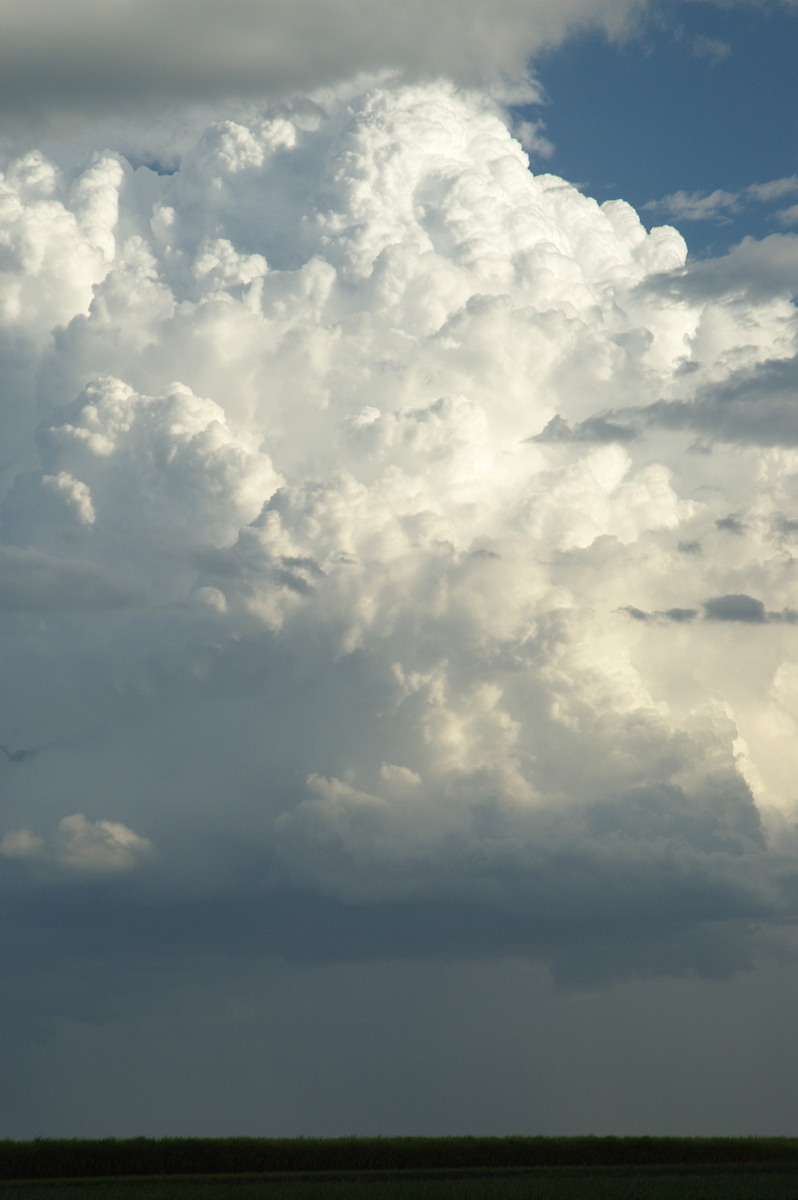 updraft thunderstorm_updrafts : near Wardell, NSW   4 November 2007