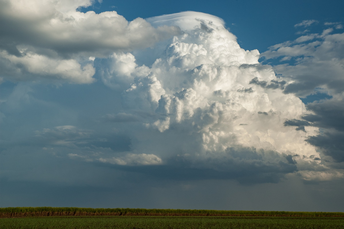 pileus pileus_cap_cloud : near Wardell, NSW   4 November 2007