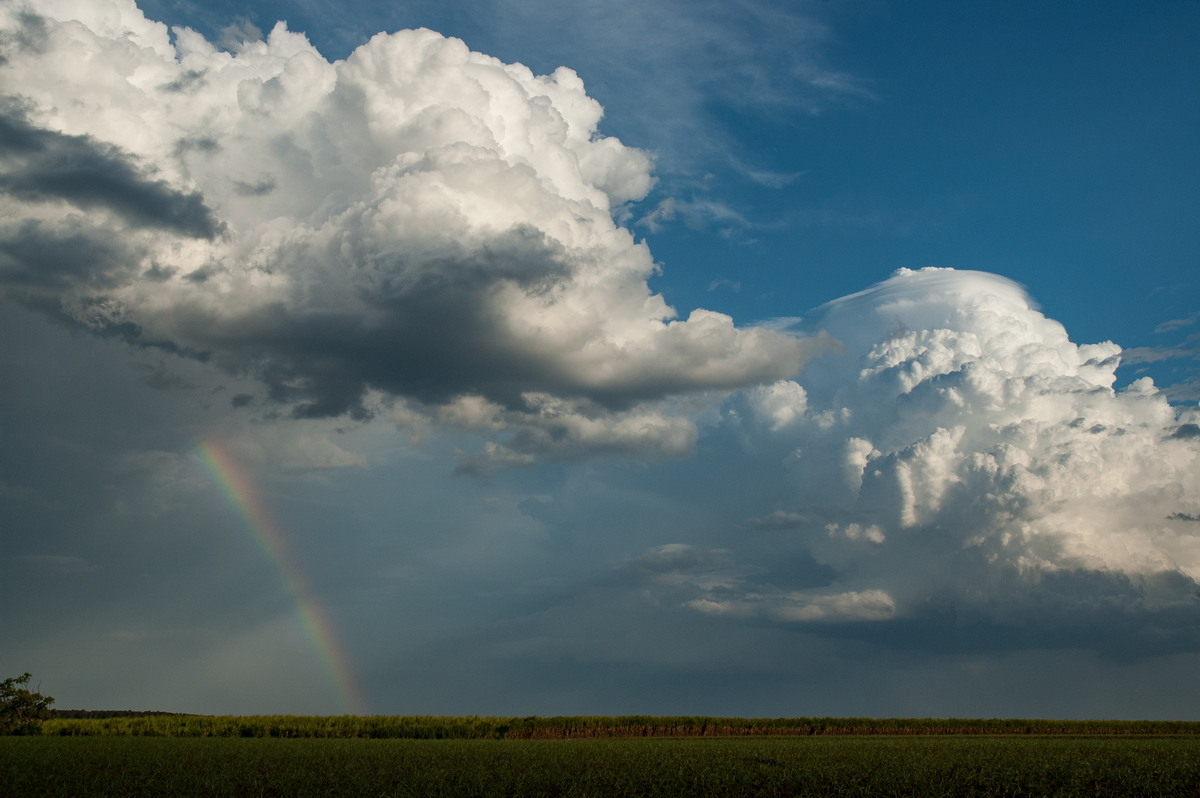 pileus pileus_cap_cloud : near Wardell, NSW   4 November 2007